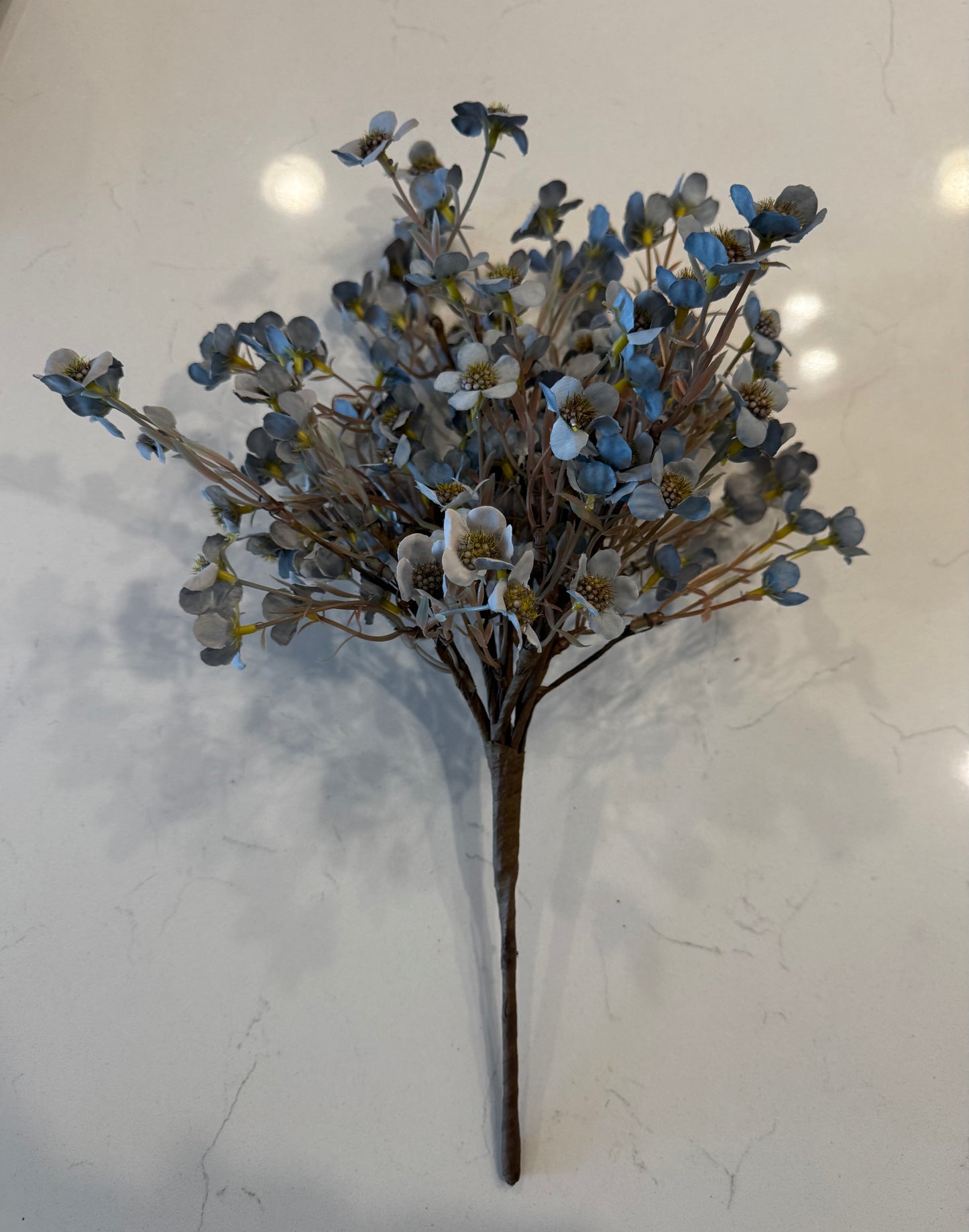 Timeless Blooms Bush Blue