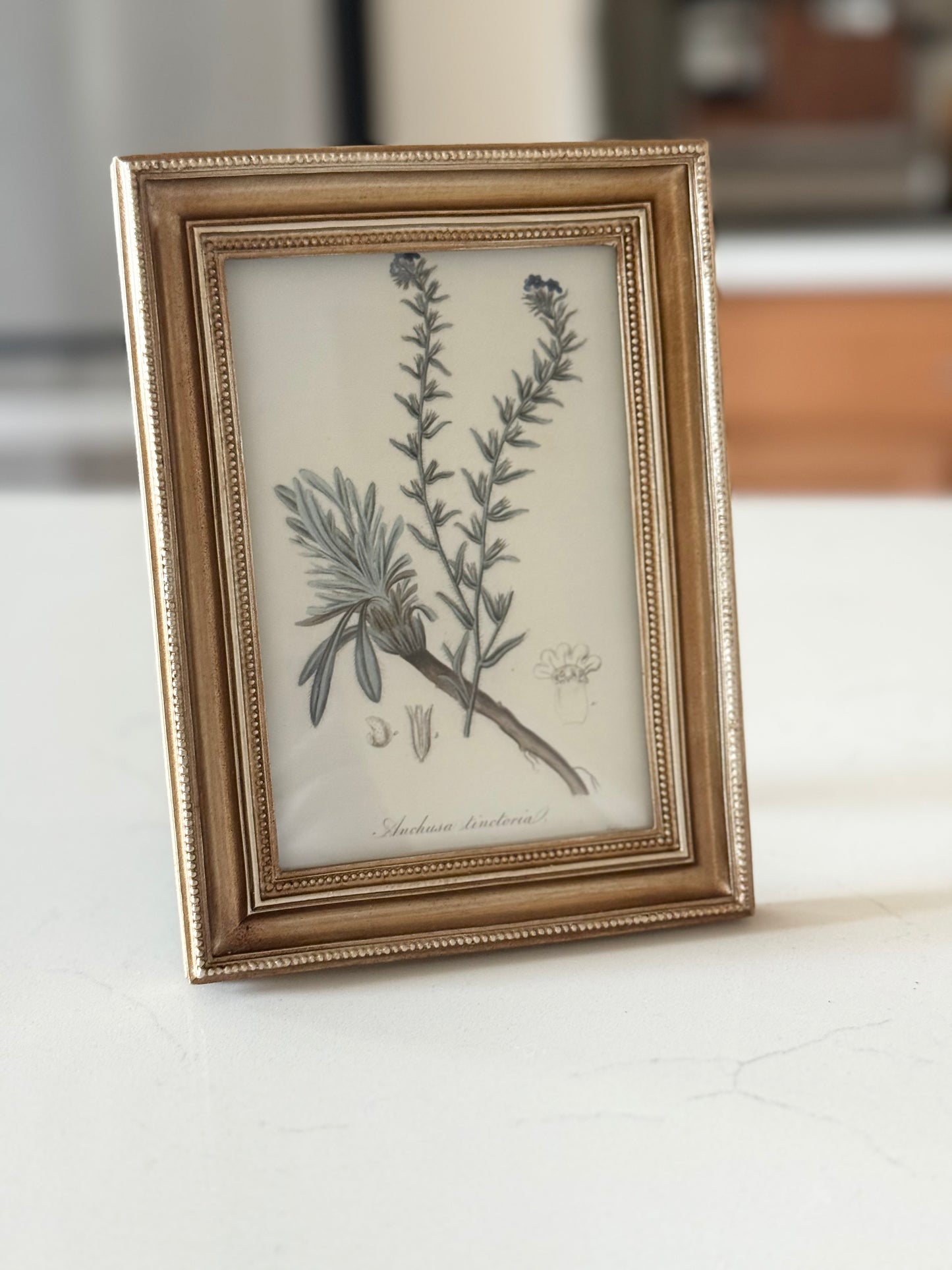 Vintage Gold Edge Photo Frame