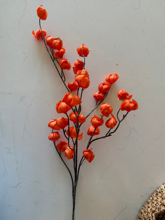 Kindle Pod Stem -Orange