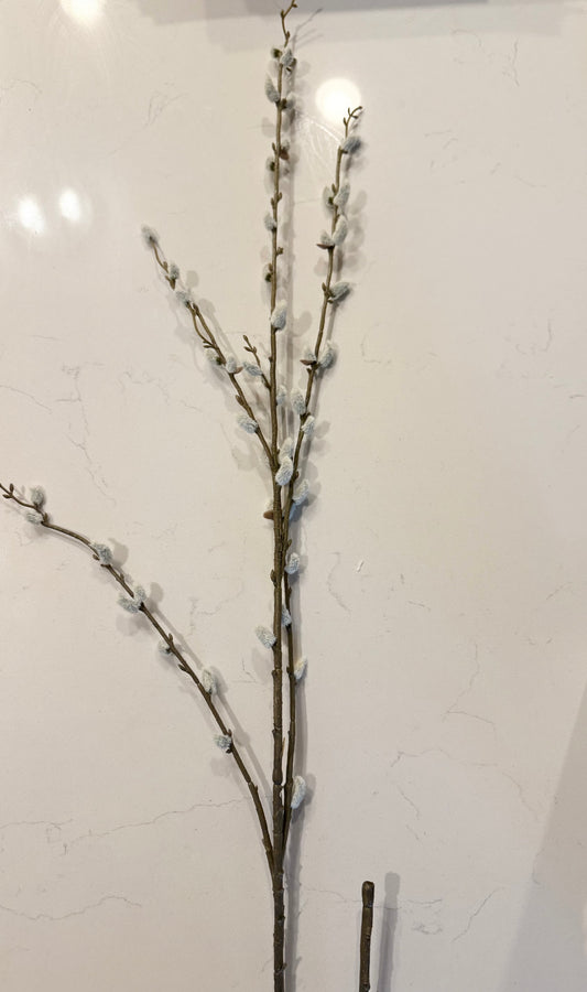 Pussy Willow Stem -