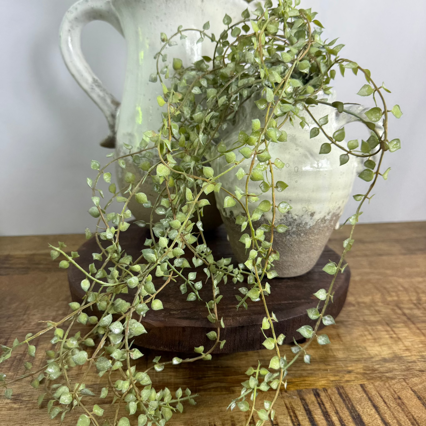 Hanging Vine