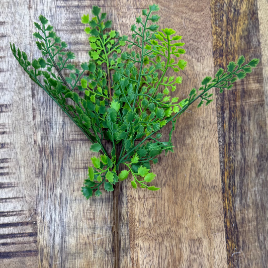 Fern Pick