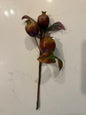 Speckled Pomegranate Stem