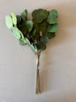 Eucalyptus Bundle -16''