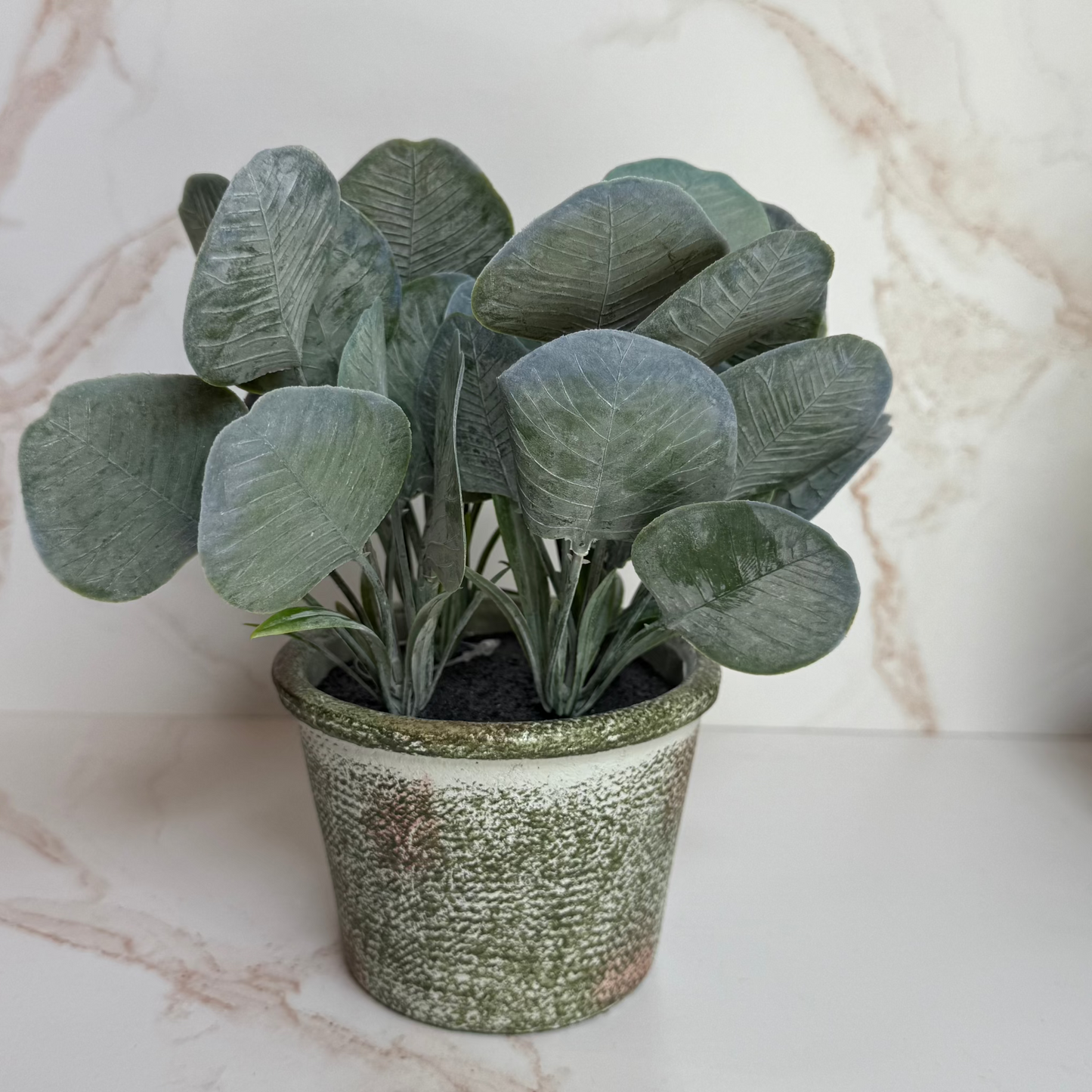 Silver Dollar Pot - 8''