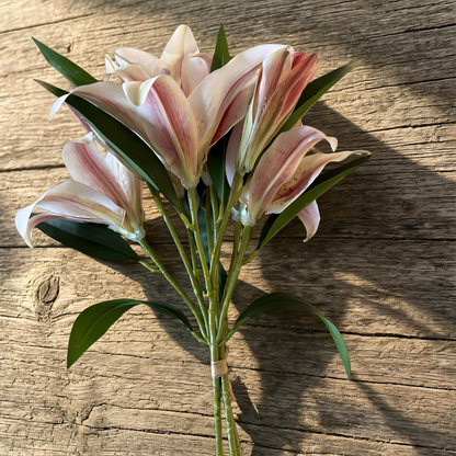 Eden Lily Bundle - 40% OFF