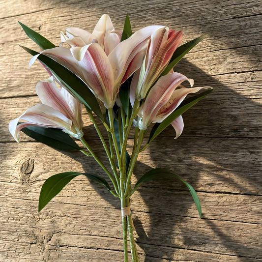Eden Lily Bundle