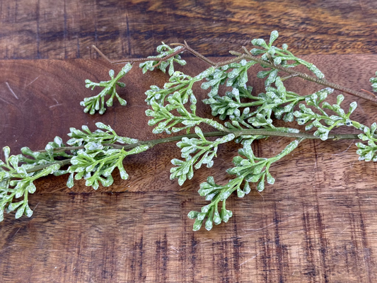 Powdered Green Eucalyptus Berry Stem