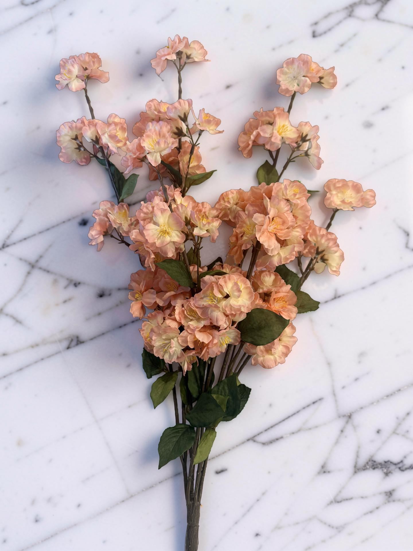 Coral Peach Blossom Bush -