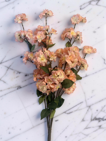 Coral Peach Blossom Bush -