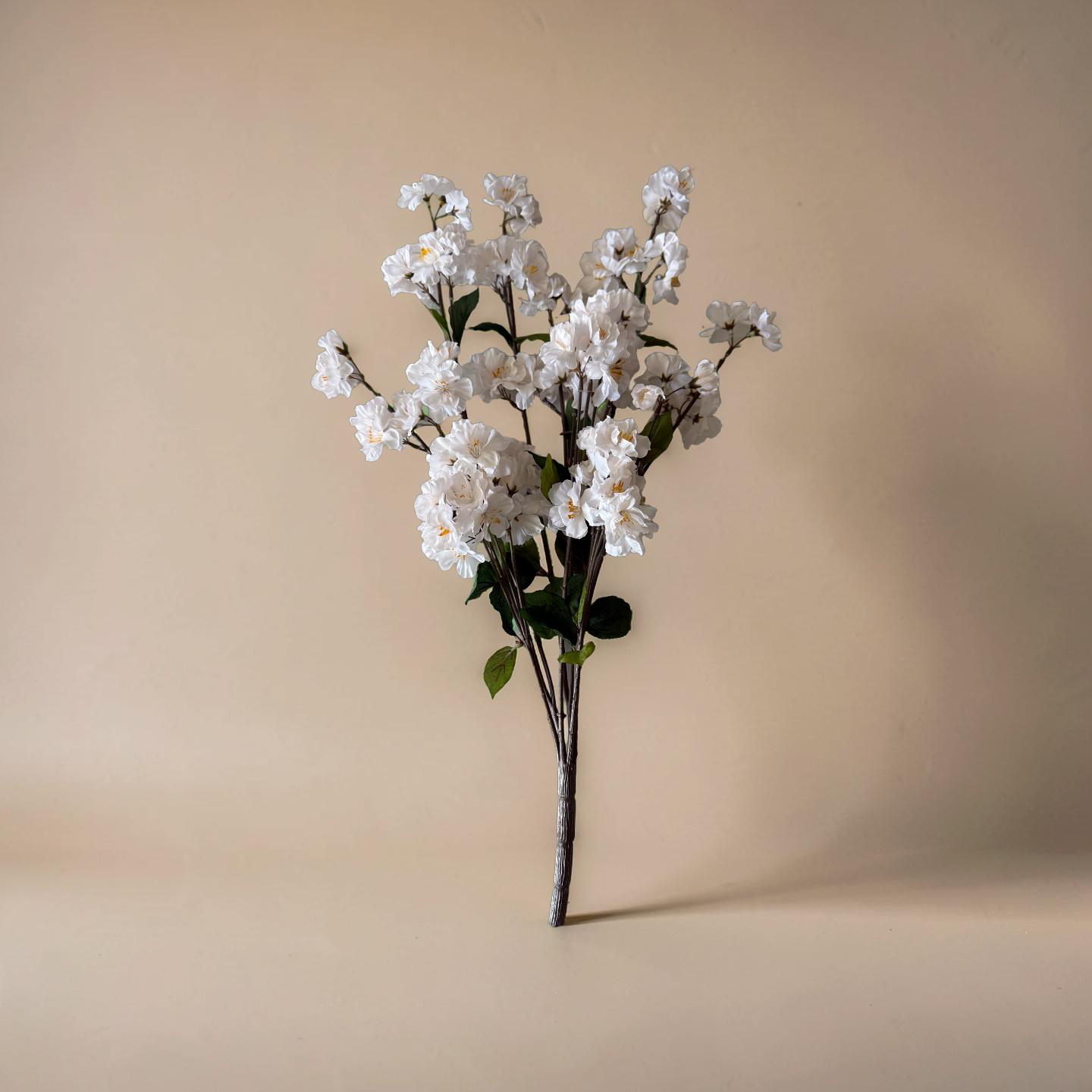 White Peach Blossom Bush