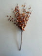 Fitful Blooms