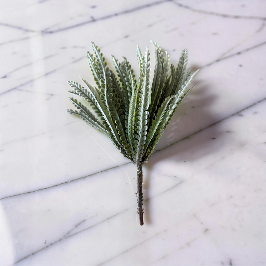 Soft Green Foliage Bush