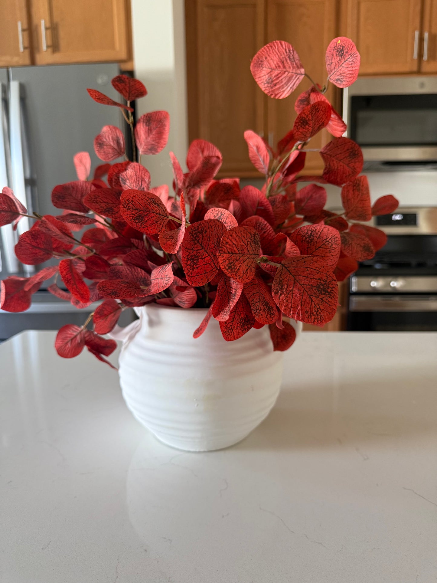Auburn Eucalyptus Bush -