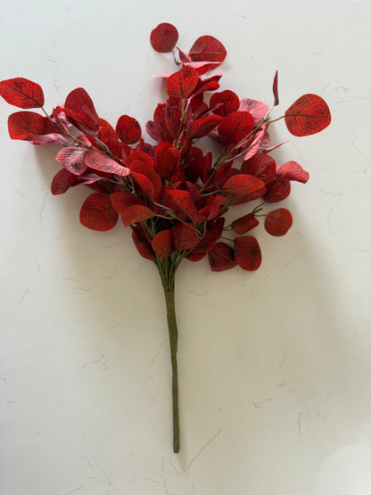 Auburn Eucalyptus Bush -