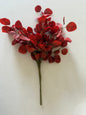 Auburn Eucalyptus Bush -
