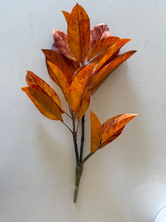 Catalpa Bush - Blaze