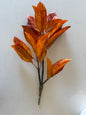 Catalpa Bush - Blaze