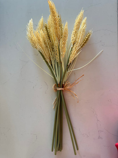 Sungold Barley Bundle -30% OFF