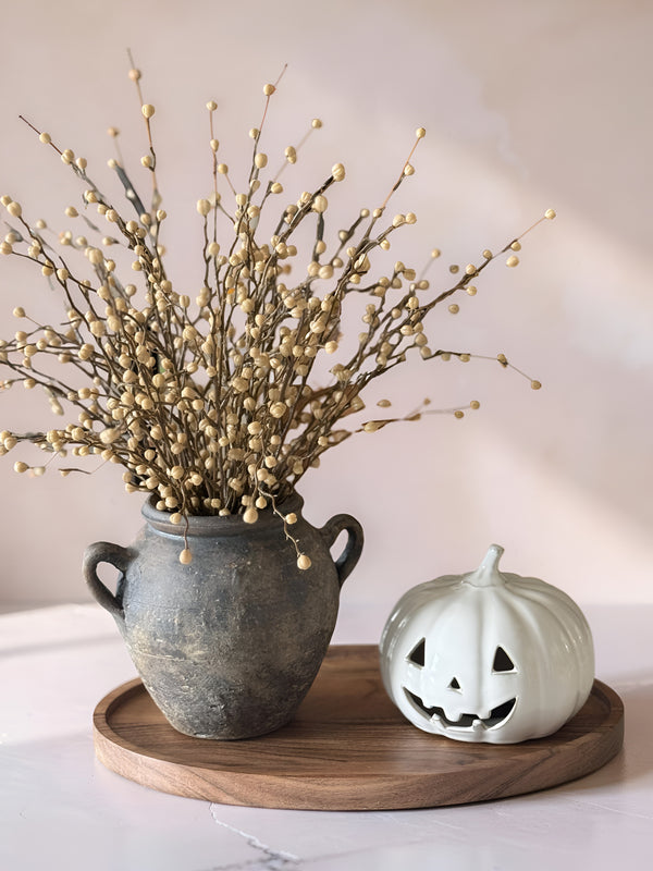 Yellow or cream… which would you choose? 🍂🤍I can’t decide! The warm golden stems bring that rich, cozy fall feeling, while the soft cream stems create a timeless, neutral look that works all season long.Both pair beautifully with our vintage-inspired crock and ceramic jack-o’-lantern for an effortless fall display.✨ Tell me in the comments…💛 Team Yellow🤍 Team CreamI’d love to know which one you’d style in your home!Home Decor with Michelle 🤍