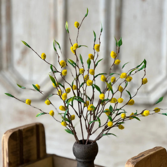 Nimbus Buds Yellow