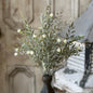 Chadwick Buds Bush - 18''