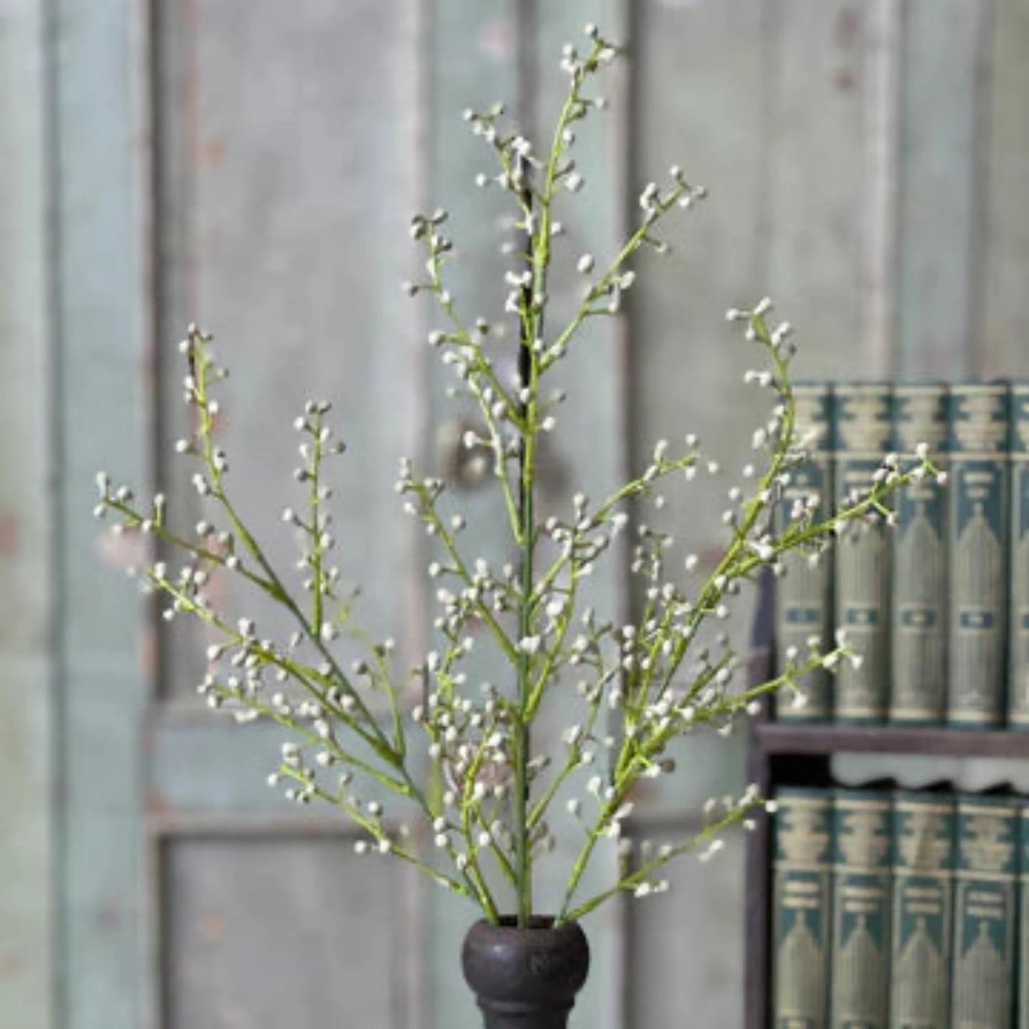 Nico Berry Bush