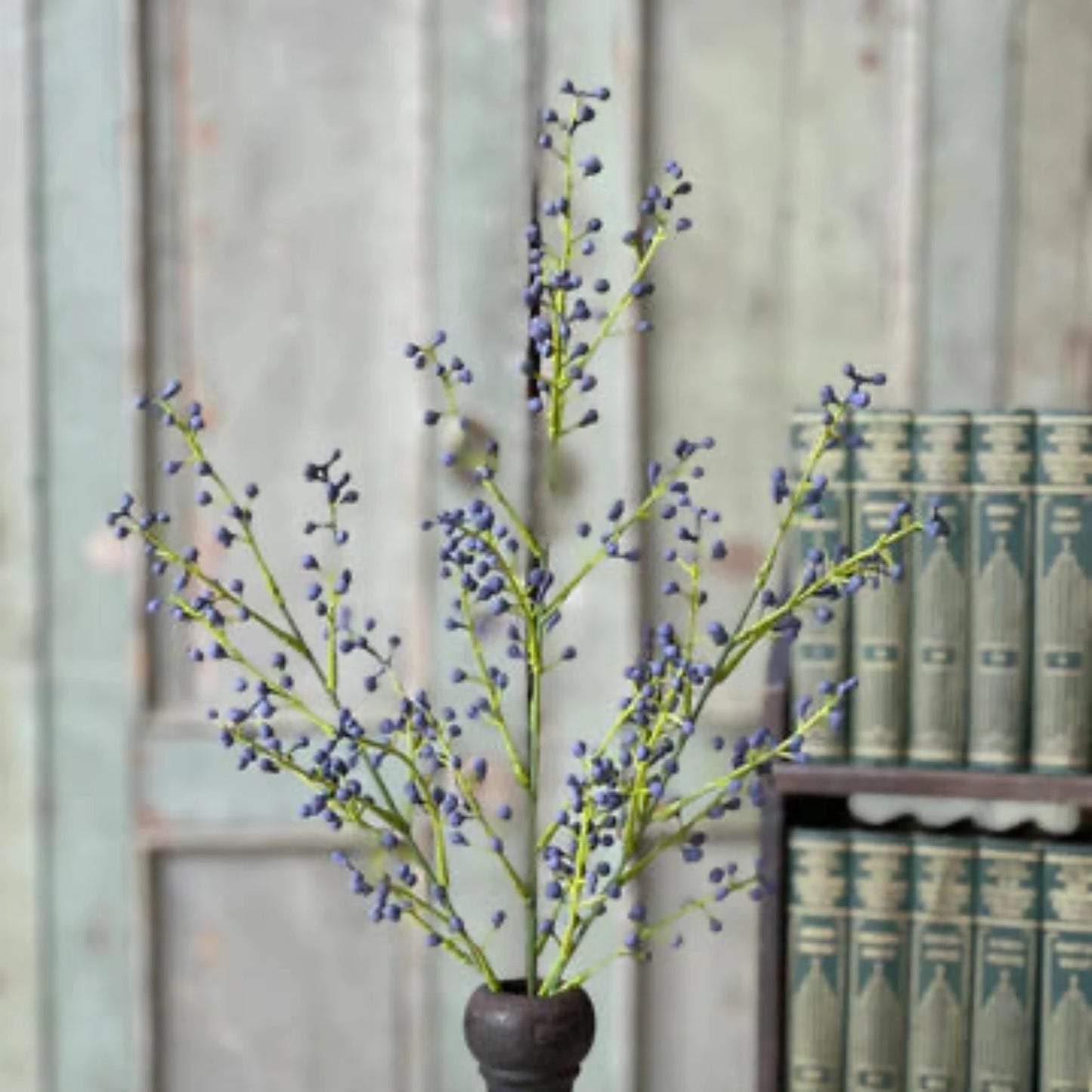 Nico Berry Bush