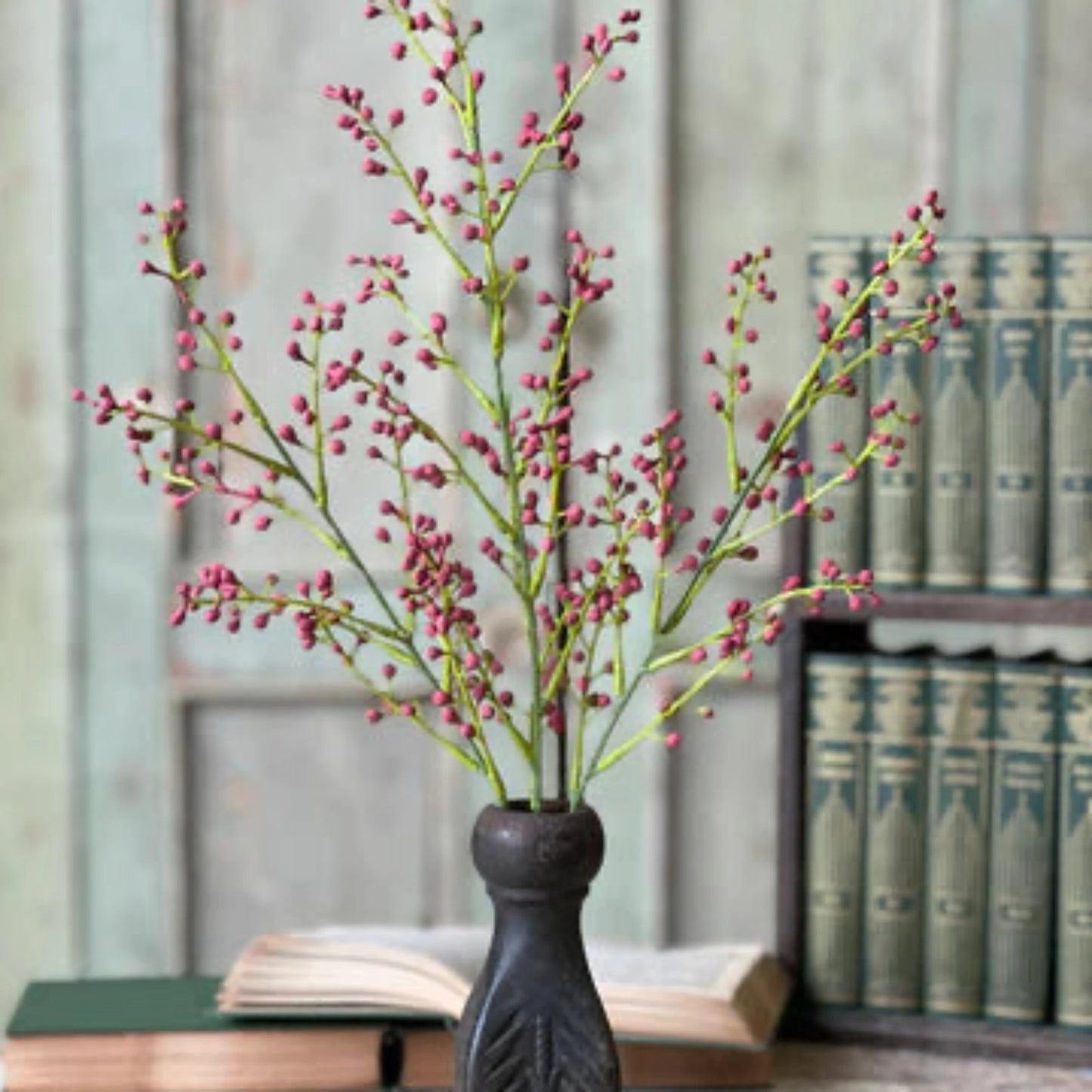Nico Berry Bush