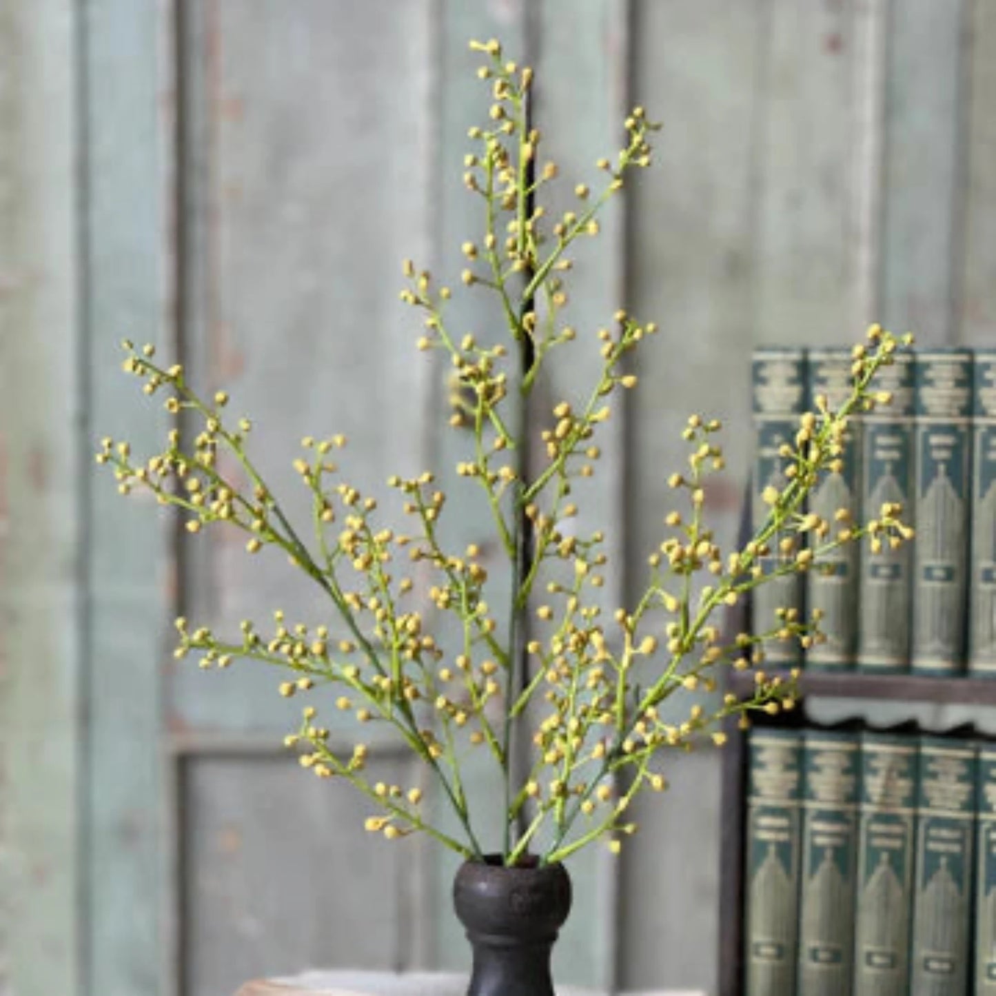 Nico Berry Bush
