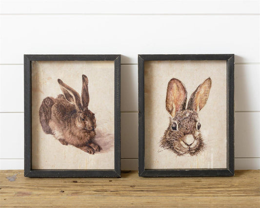 Rabbit Frame